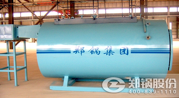 3噸/h 冷凝式燃?xì)庹羝仩t