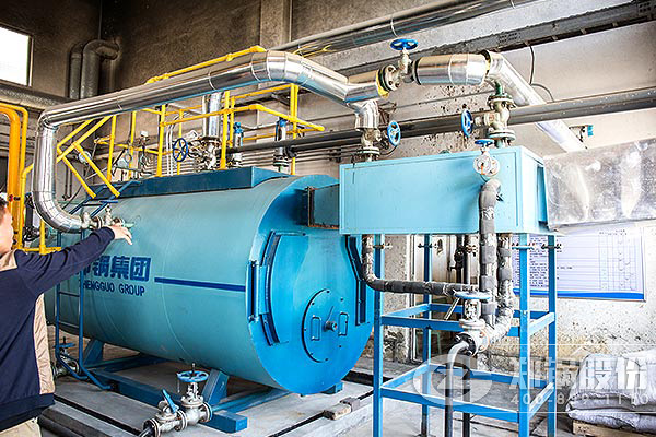 2噸燃天然氣或者生物質蒸汽鍋爐