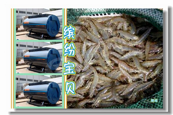 工業5噸冷凝燃氣鍋爐